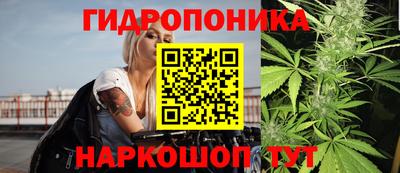 молекула духа Гусев
