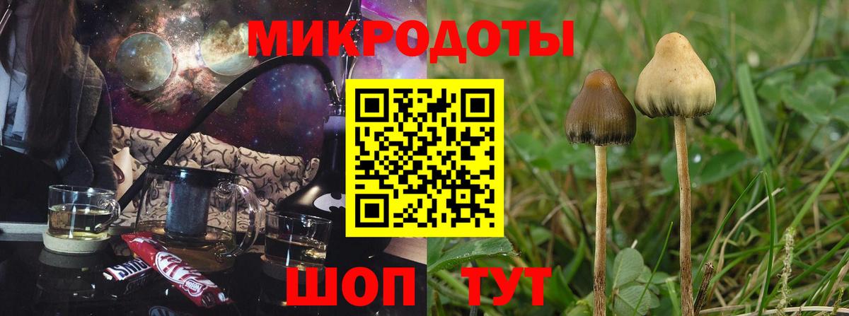 Галлюциногенные грибы Magic Shrooms Дальнегорск