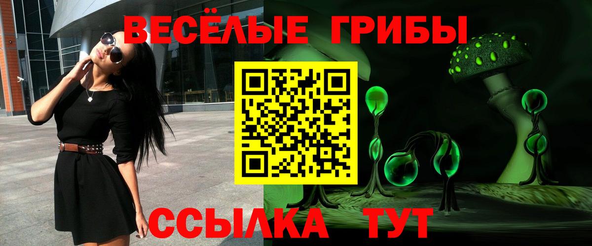 сколько стоит  Вход с VPN  Дальнегорск  Псилоцибиновые грибы Cubensis 
